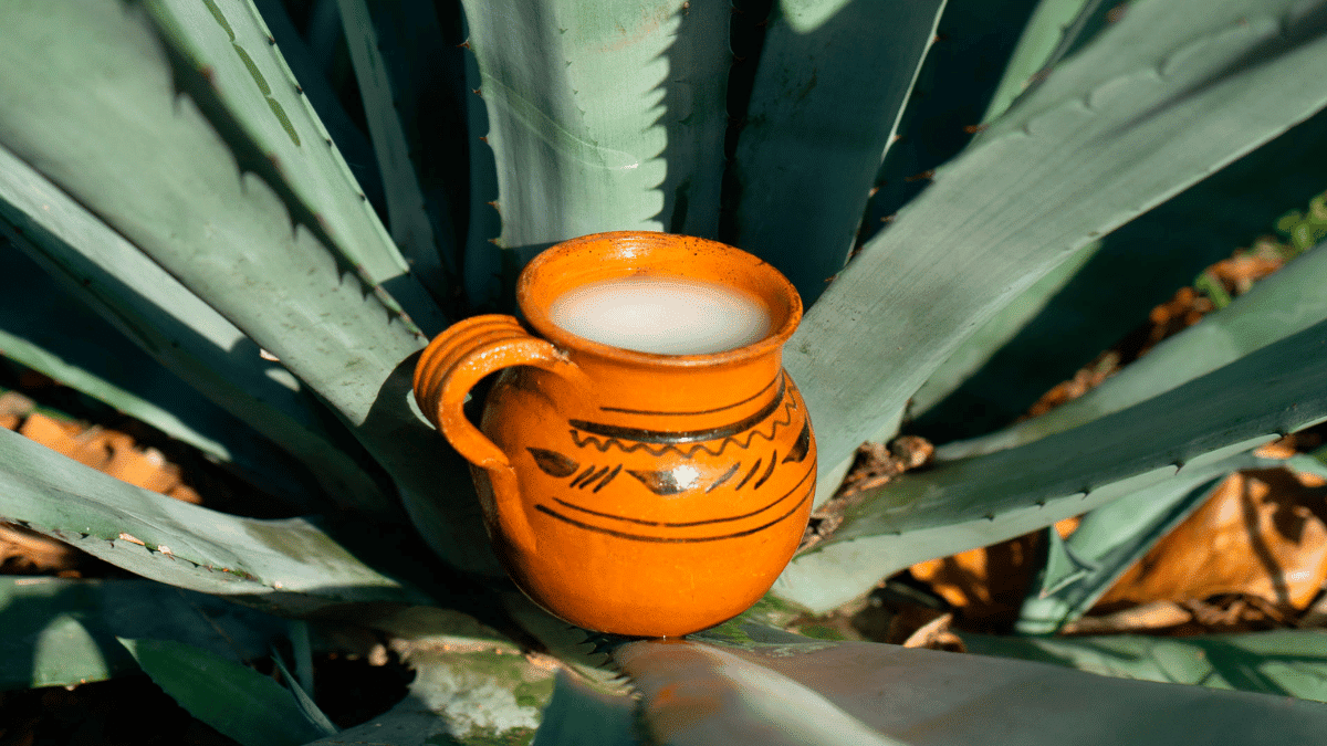 pulque